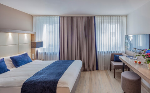Modern eingerichtetes Hotelzimmer im The Alex in Freiburg mit einem gemütlichen Bett, stilvollen Möbeln und großen Fenstern.