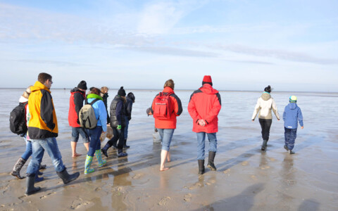 Eine Gruppe von Wanderern bei einer geführten Wattwanderung im Wattenmeer, barfuß im Schlick, umgeben von der einzigartigen Natur der Nordsee.