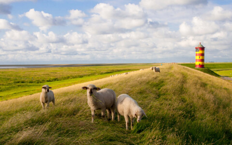 Ein charakteristischer Leuchtturm in Ostfriesland, der einsam an der Küste steht und das Wattenmeer überblickt