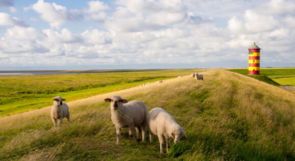 Ein charakteristischer Leuchtturm in Ostfriesland, der einsam an der Küste steht und das Wattenmeer überblickt