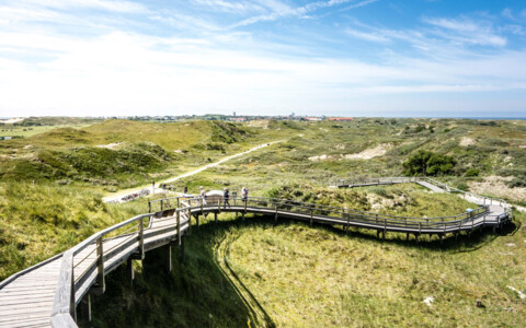 Blick auf die idyllische Insel Nordeney mit seinen typischen Häusern, Stränden und grünen Wiesen, die eine ruhige Nordsee-Landschaft prägen.