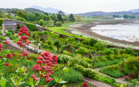 Der prächtige Inverewe Garden in Schottland, bekannt für seine vielfältige Pflanzenwelt und üppige, gepflegte Landschaft an der Westküste Schottlands.