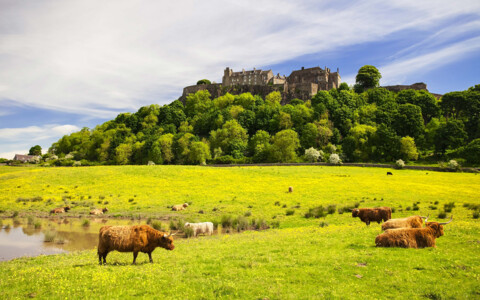 Das historische Stirling Castle, auf einem Hügel in Schottland, mit beeindruckender Architektur und weitreichendem Blick auf die umliegende Landschaft.