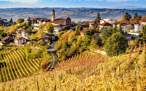 Eine weite hügelige Landschaft der Langhe, bedeckt mit goldenen und roten Weinreben im Herbst. Im Hintergrund stehen malerische Dörfer und Nebel, der über die Hügel zieht.