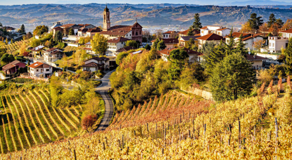 Eine weite hügelige Landschaft der Langhe, bedeckt mit goldenen und roten Weinreben im Herbst. Im Hintergrund stehen malerische Dörfer und Nebel, der über die Hügel zieht.