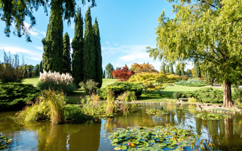 Üppige Gärten des Parco Giardino Sigurtà, mit gepflegten Rasenflächen, bunten Blumenbeeten und majestätischen alten Bäumen. Ein ruhiger See reflektiert die Schönheit der Natur.