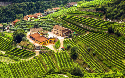 Traditionelles Weingut in der Valpolicella-Region, umgeben von Weinbergen, wo erlesene Weine produziert und Verkostungen angeboten werden.