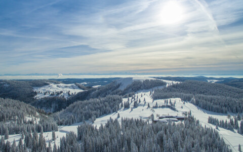 Verschneite Landschaft im Schwarzwald, mit dichten Wäldern und sanften Hügeln, die unter einer dicken Schneedecke liegen, typisch für die winterliche Idylle der Region